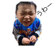 312153801