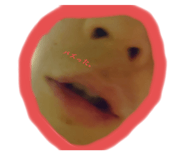 312196115