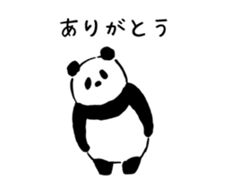 31224895