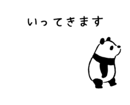 31224897