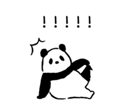 31224901