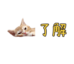 312259991
