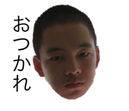 312335523