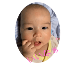 312335547