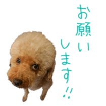 312350170