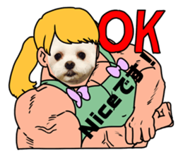 312369707