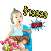 31237471