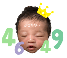 312379991