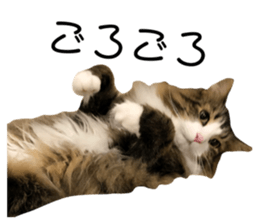 312380595