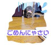 312382156
