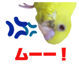 312401785