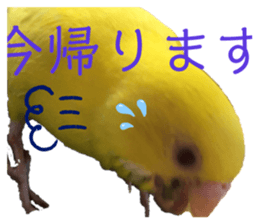 312401789