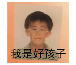 312402662