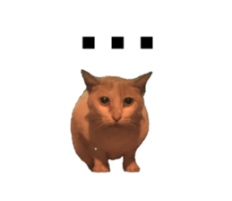 31244461