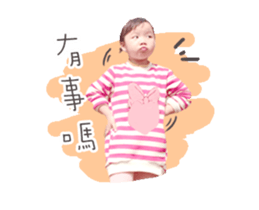 31249091