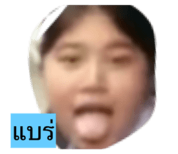 31249351
