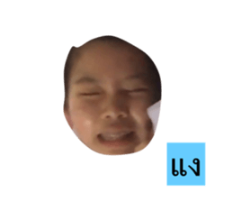 31249358