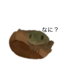 312516568