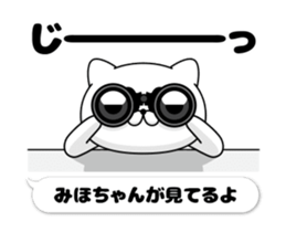 31254181