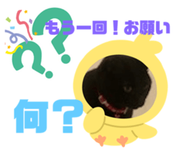 312565669