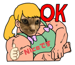 312565676