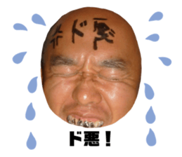 312566152