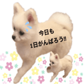 312668456