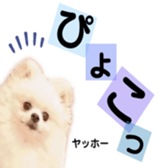 312668475