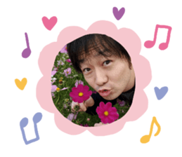 312715355