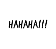 312817041