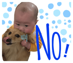 312852816