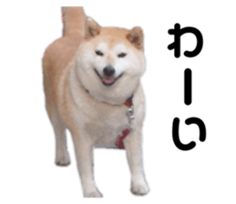312886094