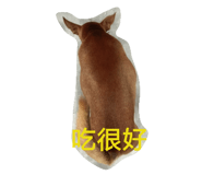 31297043