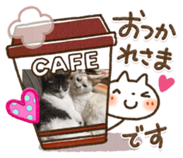 313013479