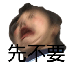 313021055