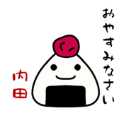 313127537