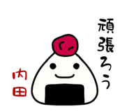 313127551