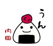 313127554