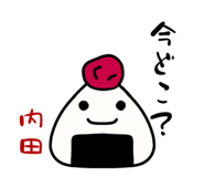 313127556