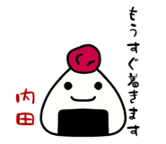 313127558