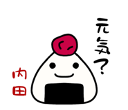 313127563