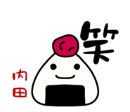 313127568