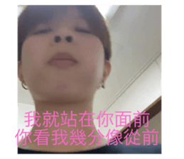 313168815