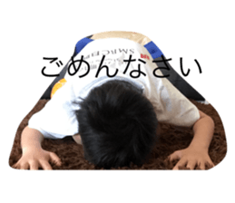 313184646