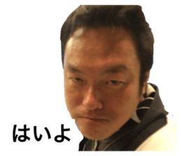 31319073