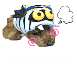 313216352