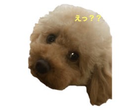 313299370
