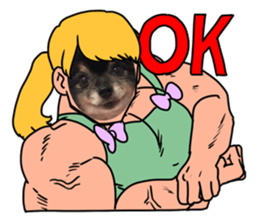 313328386