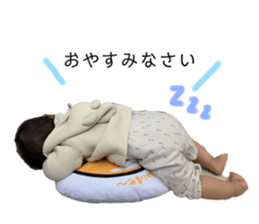 313330536