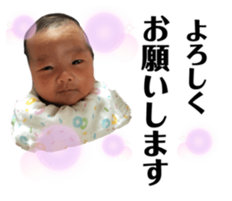 313338421